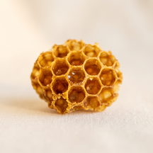 Bivax